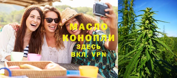 дживик Надым
