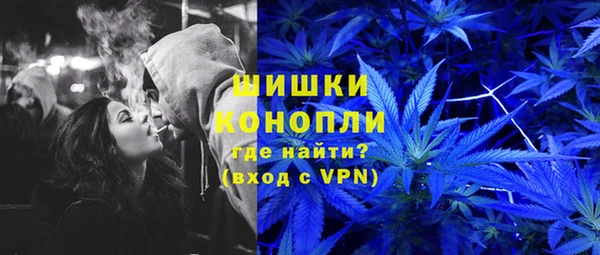 бутират Туринск