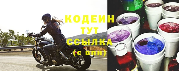 ПСИЛОЦИБИНОВЫЕ ГРИБЫ Тутаев