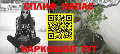 бошки Гатчина