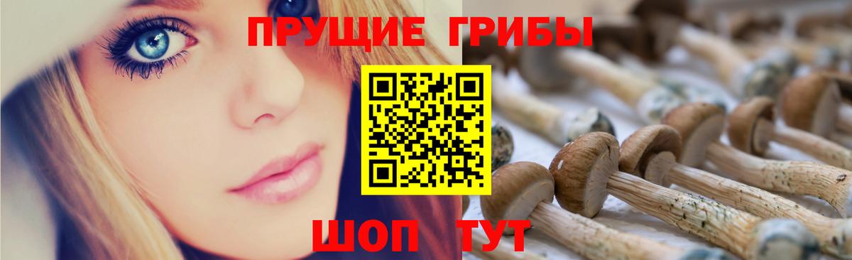Ижевск  где найти   Вход с VPN  Галлюциногенные грибы ЛСД 